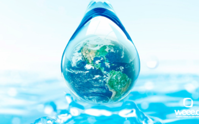 Dia da Água: Porquê reciclar eletrônicos também é uma forma de preservar a água?